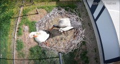 IMG_0695.jpeg
