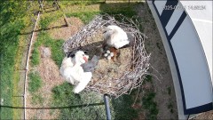 IMG_0696.jpeg