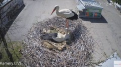 IMG_0686.jpeg