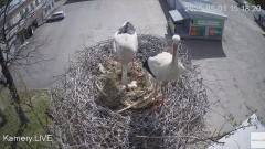 IMG_0687.jpeg