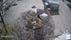 IMG_0688.jpeg