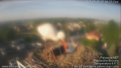 palowice-2025-05-01.png