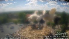 palowice-2025-05-01-4.png