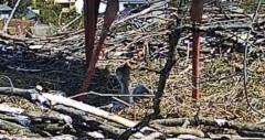 IMG_0733.jpeg
