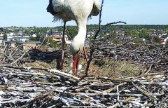 IMG_0757.jpeg