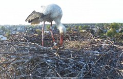 IMG_1058.jpeg
