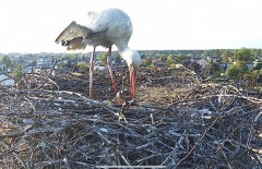 IMG_1059.jpeg