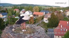 IMG_1088.jpeg