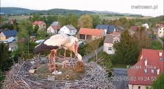 IMG_1089.jpeg