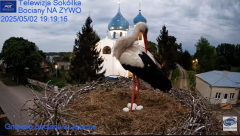 2025-05-02 20_19_30-Gniazdo Bocianie - Telewizja Sokółka [NA ŻYWO] _ IP Camera_ Stork's nest [LIVE] .png