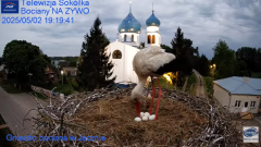 2025-05-02 20_21_53-Gniazdo Bocianie - Telewizja Sokółka [NA ŻYWO] _ IP Camera_ Stork's nest [LIVE] .png