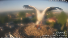 palowice-2025-05-02-2.png