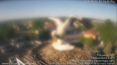 palowice-2025-05-02-3.png