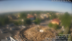 palowice-2025-05-02-4.png