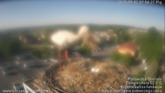 palowice-2025-05-02-5.png