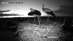 IMG_1707.jpeg