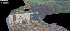 2025-05-02 15_36_19-20250501_195535.mp4 ‎- Starsza wersja aplikacji Zdjęcia.png