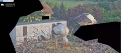 2025-05-02 15_36_51-20250501_195535.mp4 ‎- Starsza wersja aplikacji Zdjęcia.png