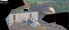 2025-05-02 15_36_53-20250501_195535.mp4 ‎- Starsza wersja aplikacji Zdjęcia.png