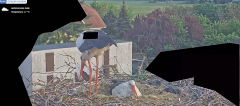 2025-05-02 15_37_18-20250501_195535.mp4 ‎- Starsza wersja aplikacji Zdjęcia.png