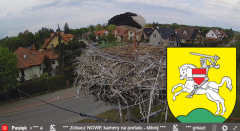 2025-05-02 16_07_11-BOCIANY kamera na żywo z gniazda w Pasłęku – Brave.png