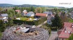 IMG_1151.jpeg