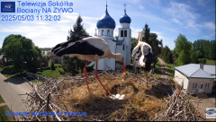 2025-05-03 13_11_41-Gniazdo Bocianie - Telewizja Sokółka [NA ŻYWO] _ IP Camera_ Stork's nest [LIVE] .png