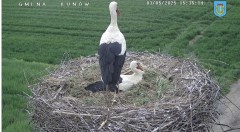 IMG_1285.jpeg