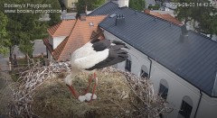 IMG_1271.jpeg
