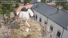 IMG_1274.jpeg