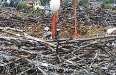 IMG_1389.jpeg