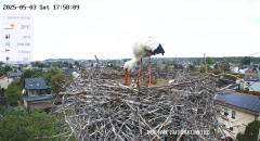 IMG_1392.jpeg