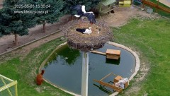 IMG_1333.jpeg