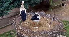 IMG_1337.jpeg