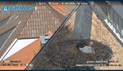 bandicam 2025-05-03 15-58-38-403.jpg