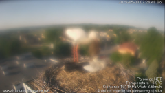 palowice-2025-05-03.png