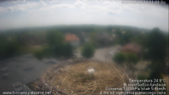 palowice-2025-05-03-3.png