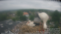 palowice-2025-05-04-2.png