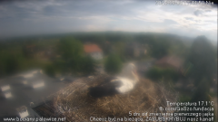 palowice-2025-05-04-5.png