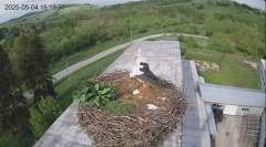 2025-05-04 21_51_51-[stimotion.pl] Bociany w Rzepedzi - YouTube - Maxthon.png