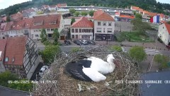 IMG_8513.jpeg