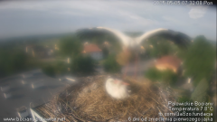 palowice-2025-05-05-2.png
