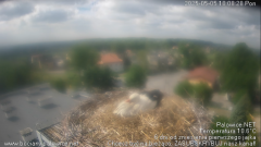 palowice-2025-05-05-3.png