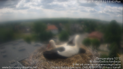 palowice-2025-05-05-5.png