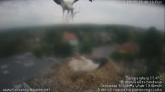 palowice-2025-05-05-6.png