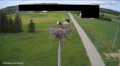 IMG_2257.jpeg