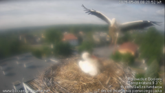 palowice-2025-05-06.png