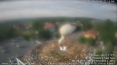 palowice-2025-05-06-2.png