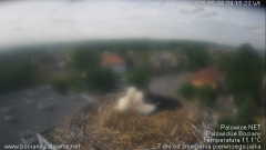 palowice-2025-05-06-3.png