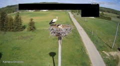 IMG_2444.jpeg